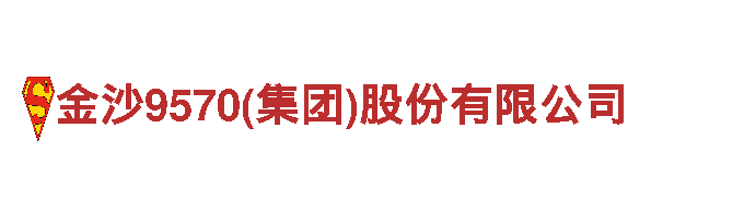 金沙9570(集团)股份有限公司-汽车租赁服务提供商